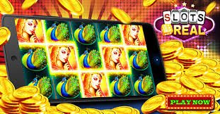 99 brl bet